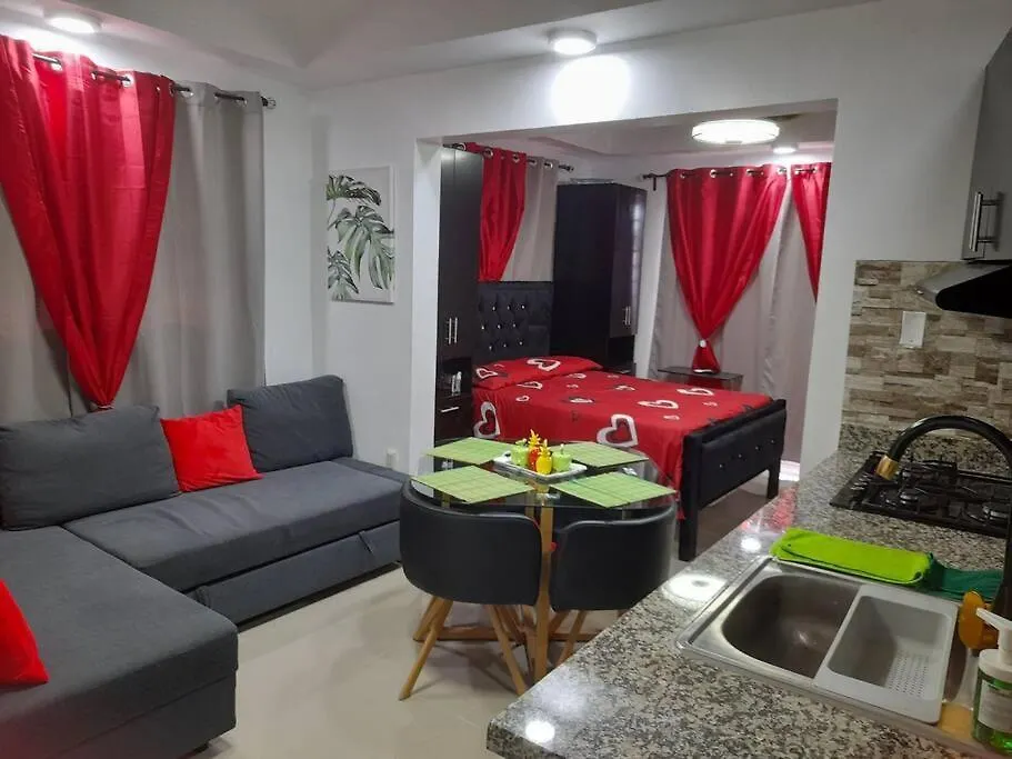 Apartment Apartamento Ideal Santo Domingo