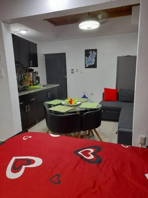 Apartment Apartamento Ideal Santo Domingo